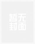 插旗（高H 公路 NP）